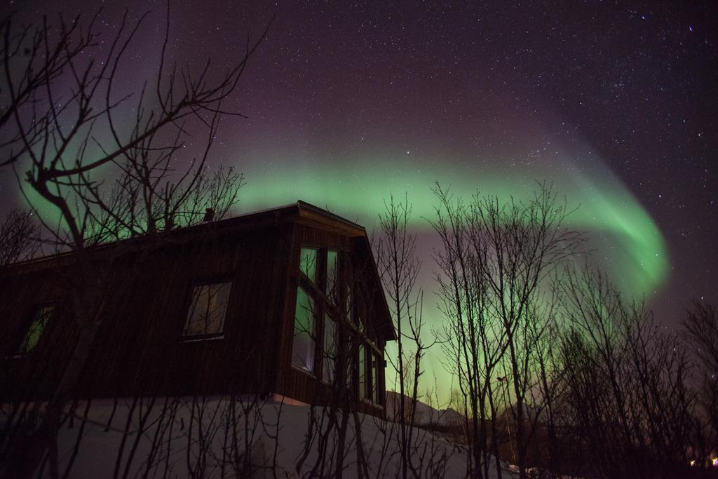 Aurora View Cabin Lyngseidet ภายนอก รูปภาพ