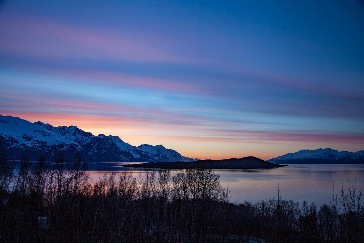 Aurora View Cabin Lyngseidet ภายนอก รูปภาพ