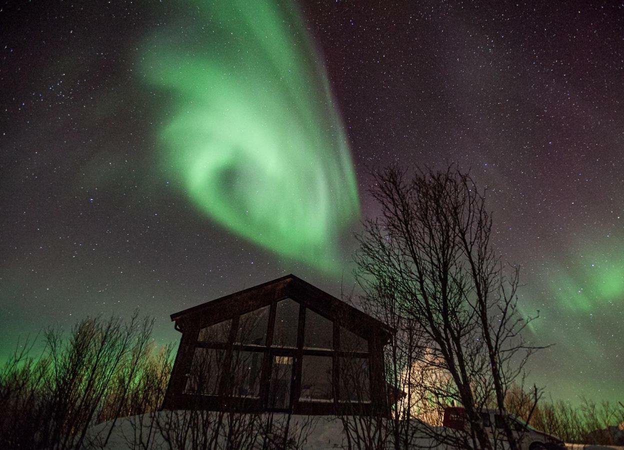 Aurora View Cabin Lyngseidet ภายนอก รูปภาพ